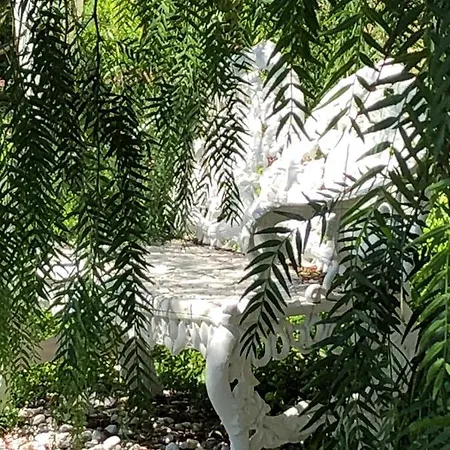 לינה וארוחת בוקר La Casa Di Sissi סנרמו