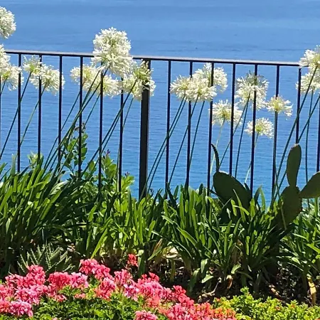 La Casa Di Sissi * Sanremo