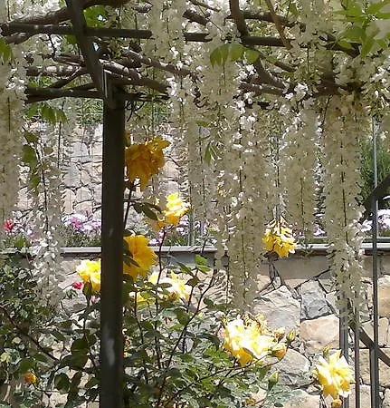 Bed & Breakfast La Casa Di Sissi Sanremo